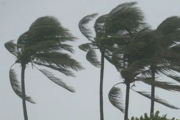 10. Viento