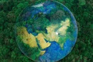 15 tipos de recursos naturales que debes conocer