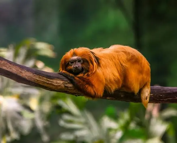 15. Biodiversidad