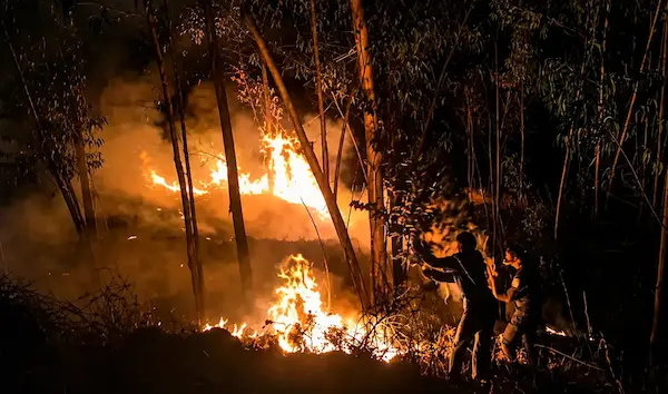 47. Incendio forestal natural