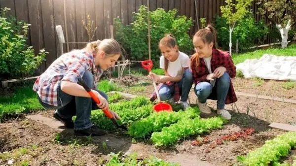 Beneficios de la conservación del medio ambiente