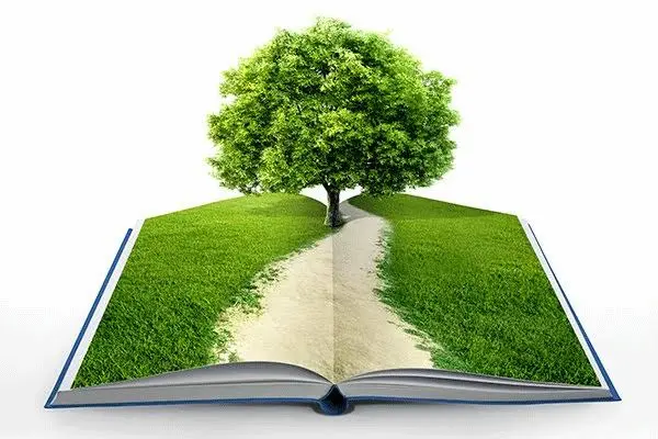 El papel de la educación ambiental