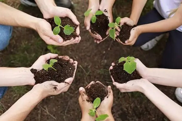 Qué es la conservación del medio ambiente