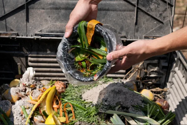 15. Materiales elaborados a partir de residuos agrícolas