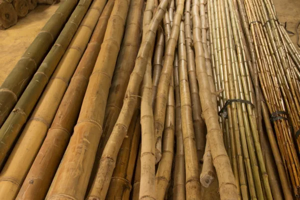 Los 15 materiales ecológicos más utilizados
