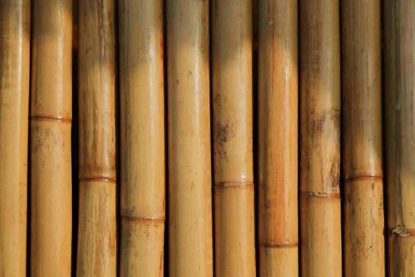 ¿Cómo elegir materiales ecológicos para un proyecto?